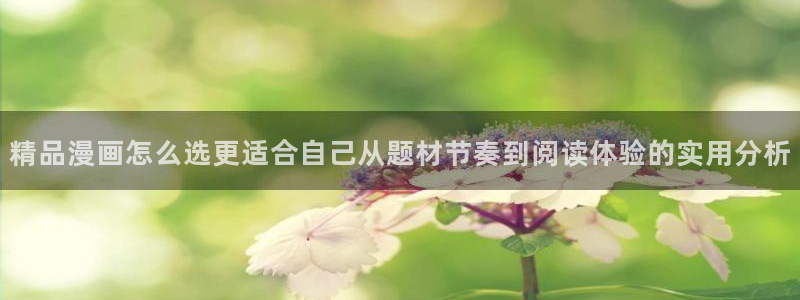 羞羞漫画最新网页：精品漫画怎么选更适合自己从题材节奏到阅读体验的实用分析